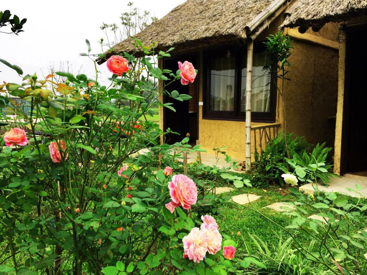 May Homestay - Tam Coc Local Village Нин Бин Екстериор снимка