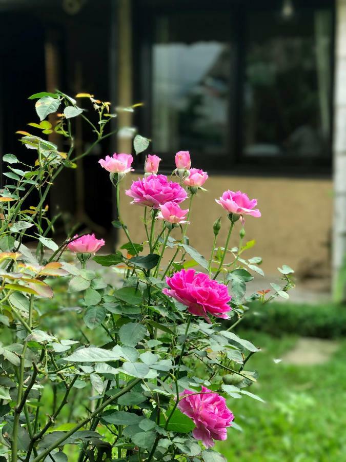 May Homestay - Tam Coc Local Village Нин Бин Екстериор снимка
