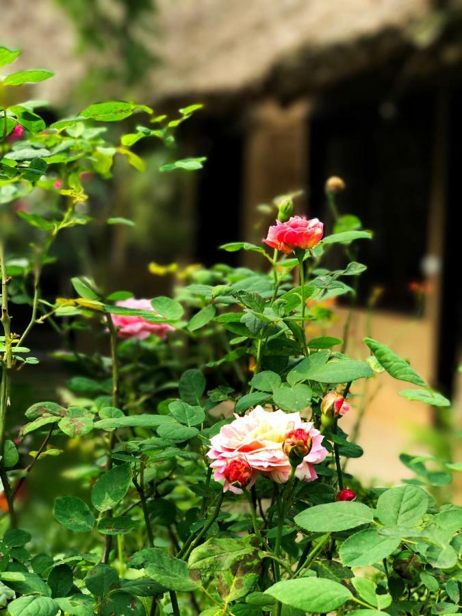 May Homestay - Tam Coc Local Village Нин Бин Екстериор снимка